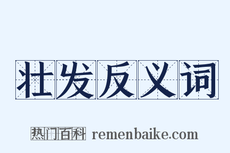 壮发反义词是什么意思的图片